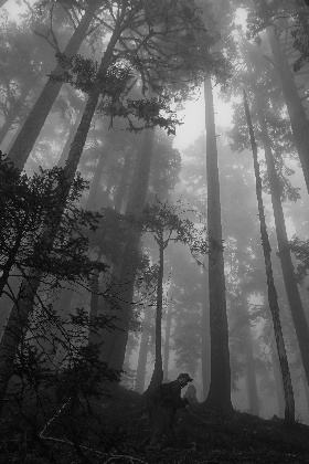 Person hiking Mount Saint Helens
